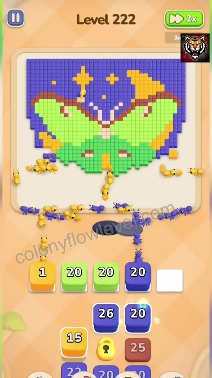 Colony Flow Level 222 step 4