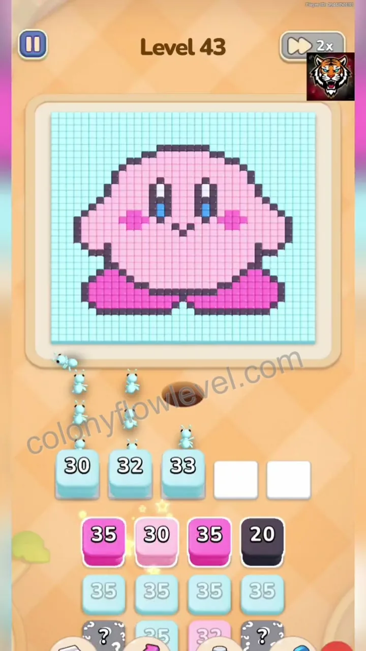 Colony Flow Level 43 step 2