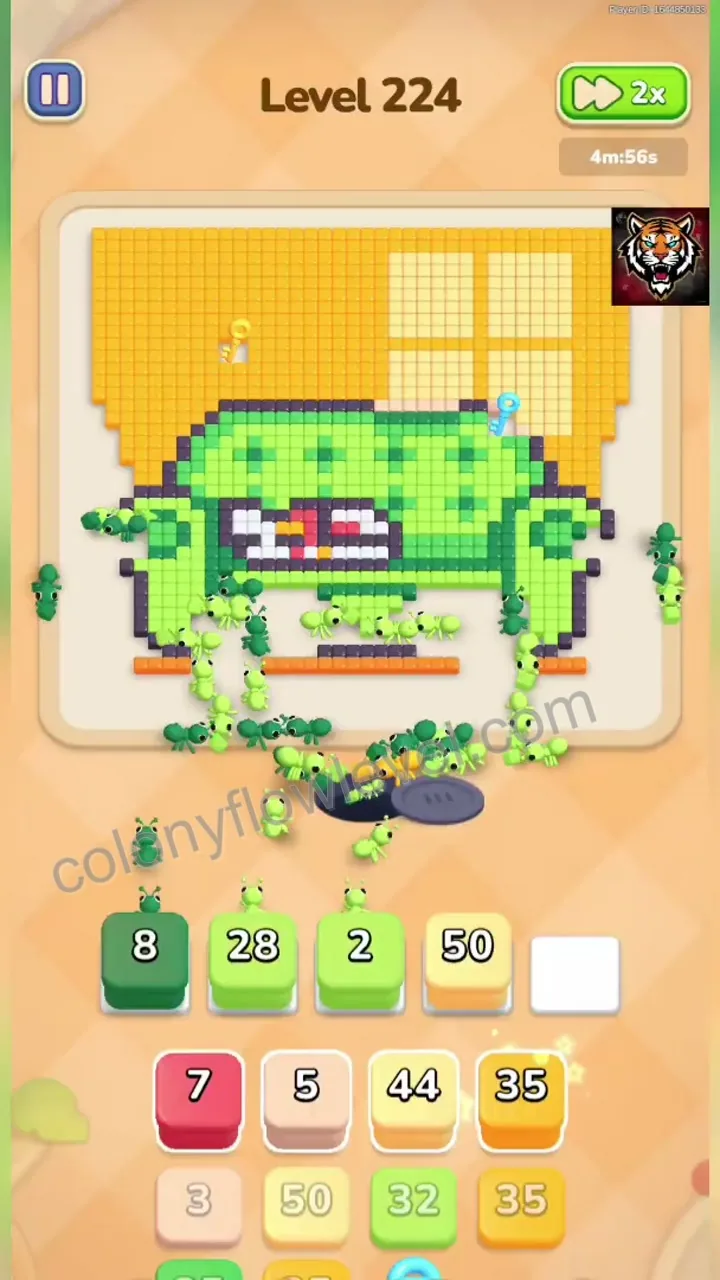Colony Flow Level 224 step 4