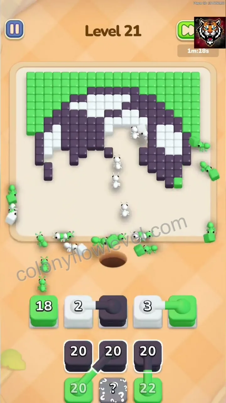 Colony Flow Level 21 step 4