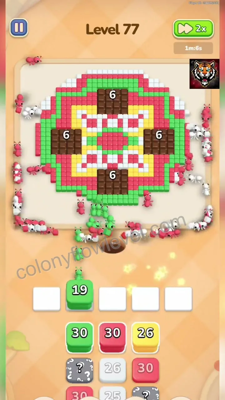 Colony Flow Level 77 step 2