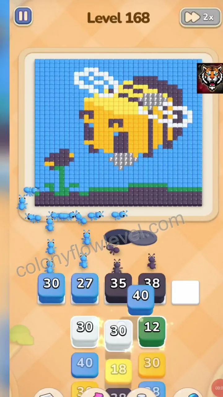 Colony Flow Level 168 step 2