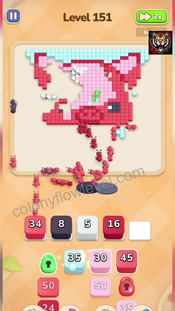 Colony Flow Level 151 step 4