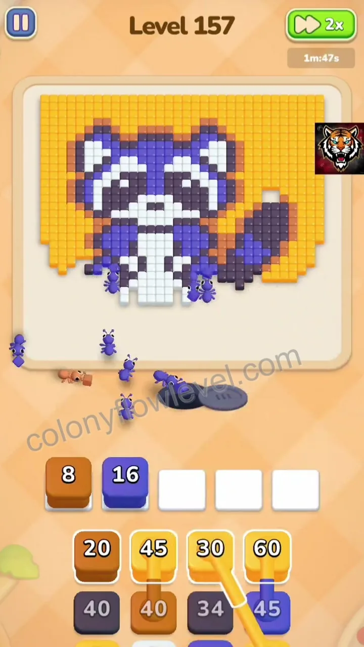 Colony Flow Level 157 step 4