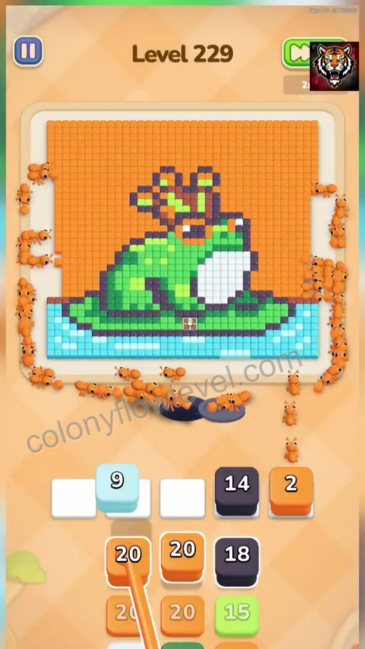 Colony Flow Level 229 step 2