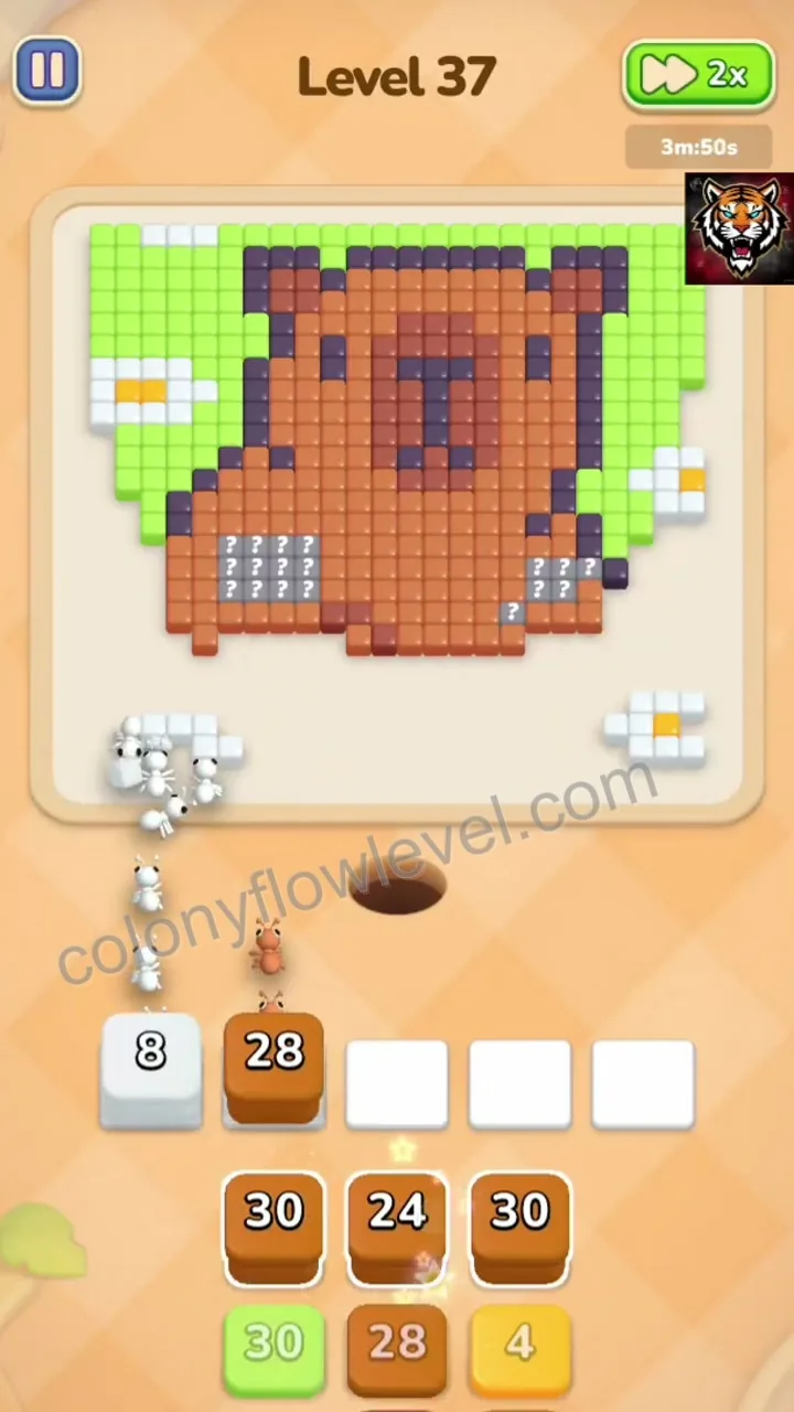 Colony Flow Level 37 step 4