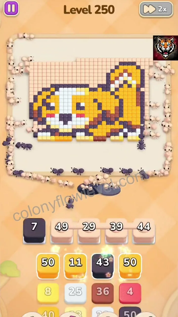 Colony Flow Level 250 step 3