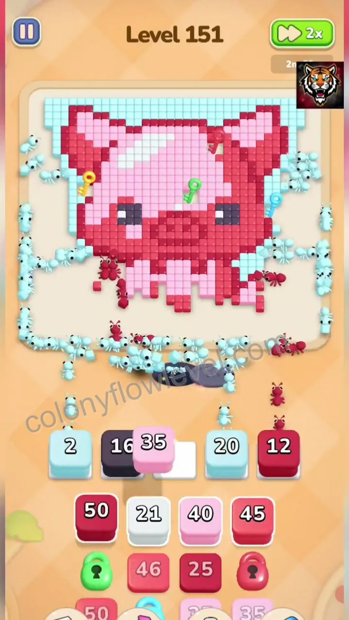 Colony Flow Level 151 step 3