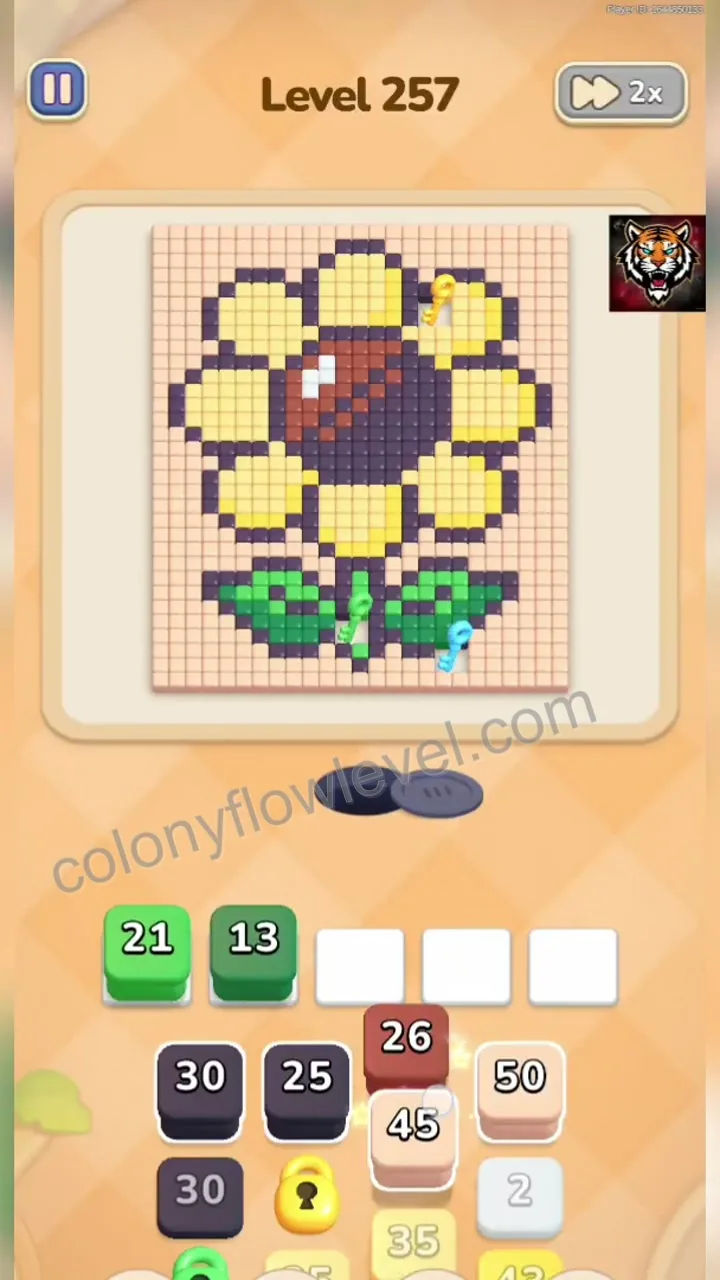Colony Flow Level 257 step 2