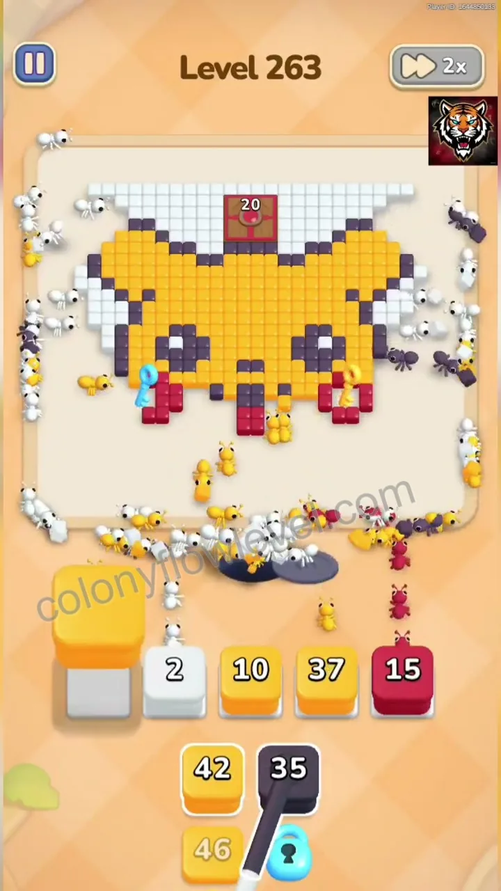 Colony Flow Level 263 step 4