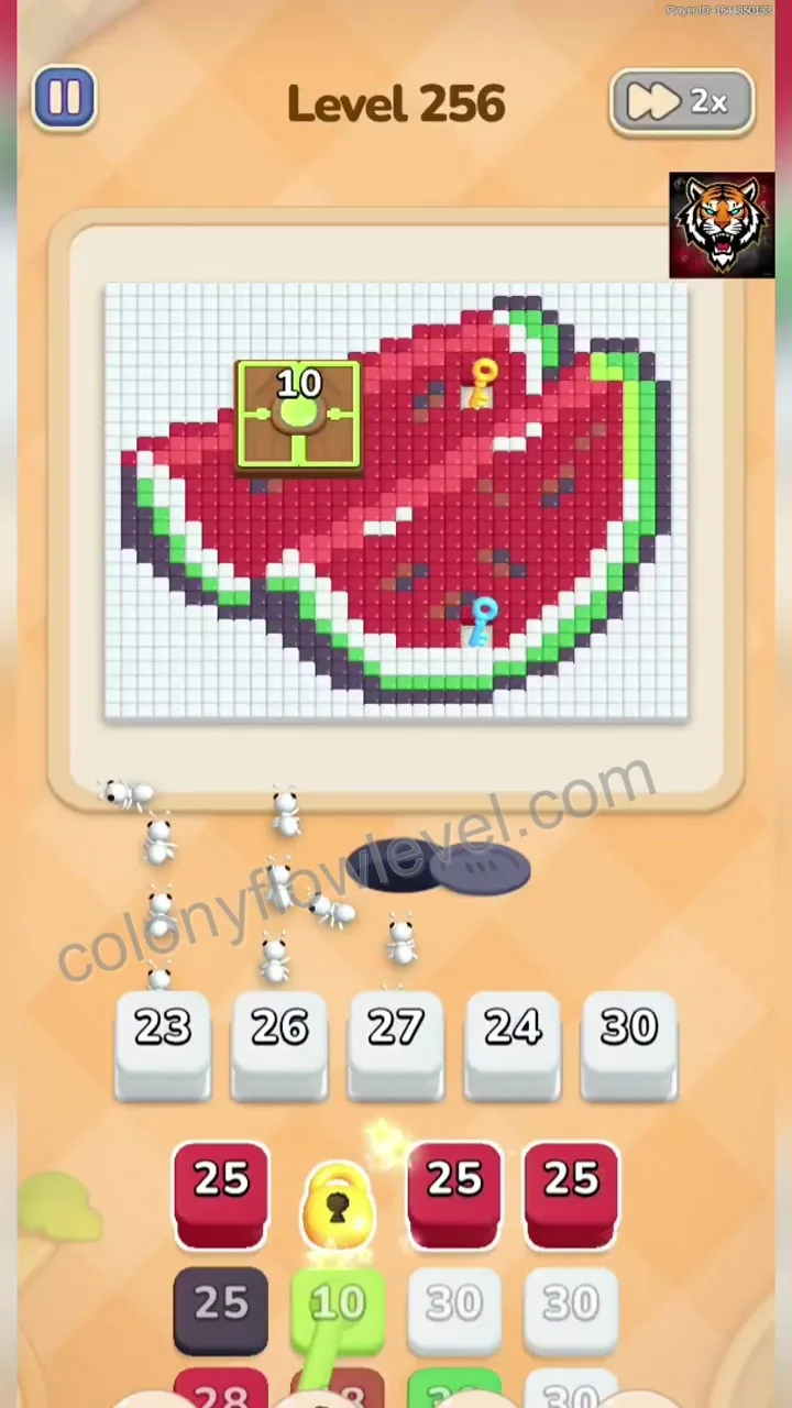 Colony Flow Level 256 step 2