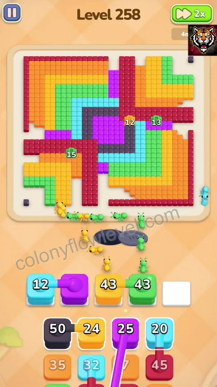 Colony Flow Level 258 step 3