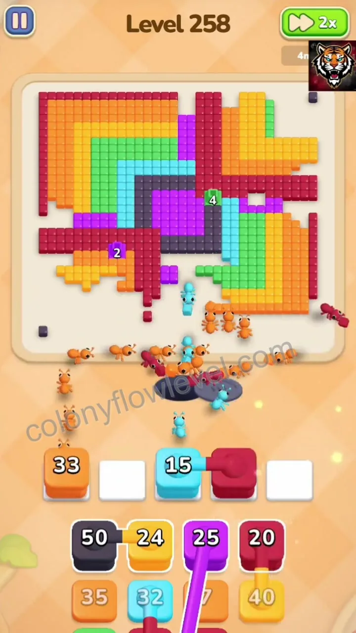 Colony Flow Level 258 step 4
