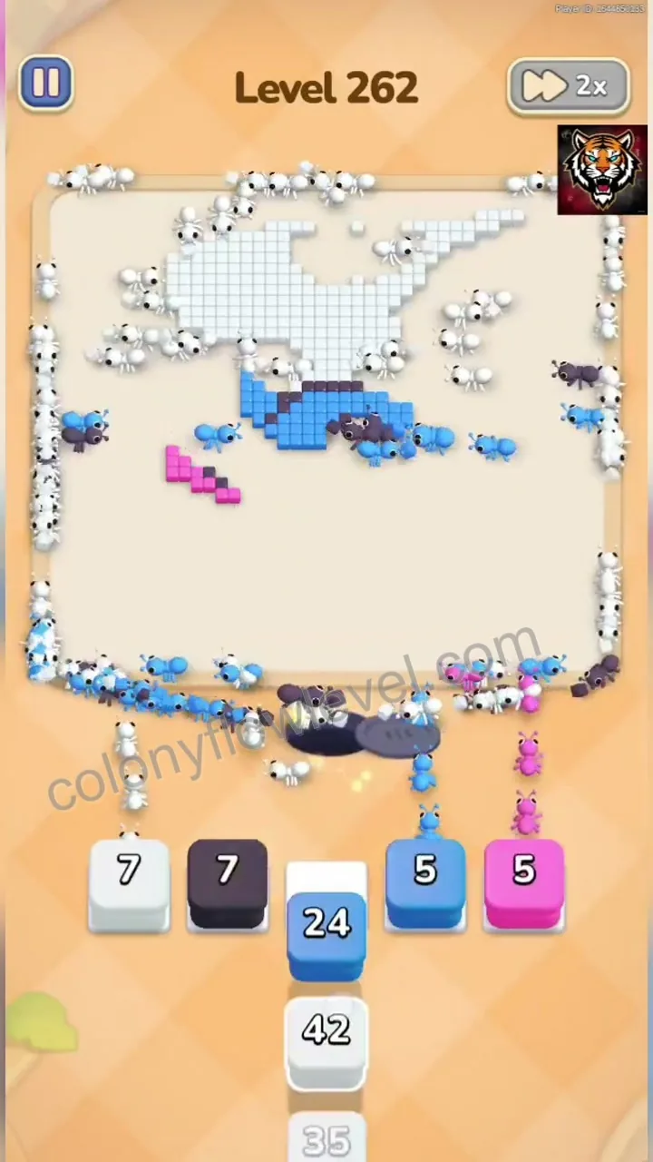 Colony Flow Level 262 step 4