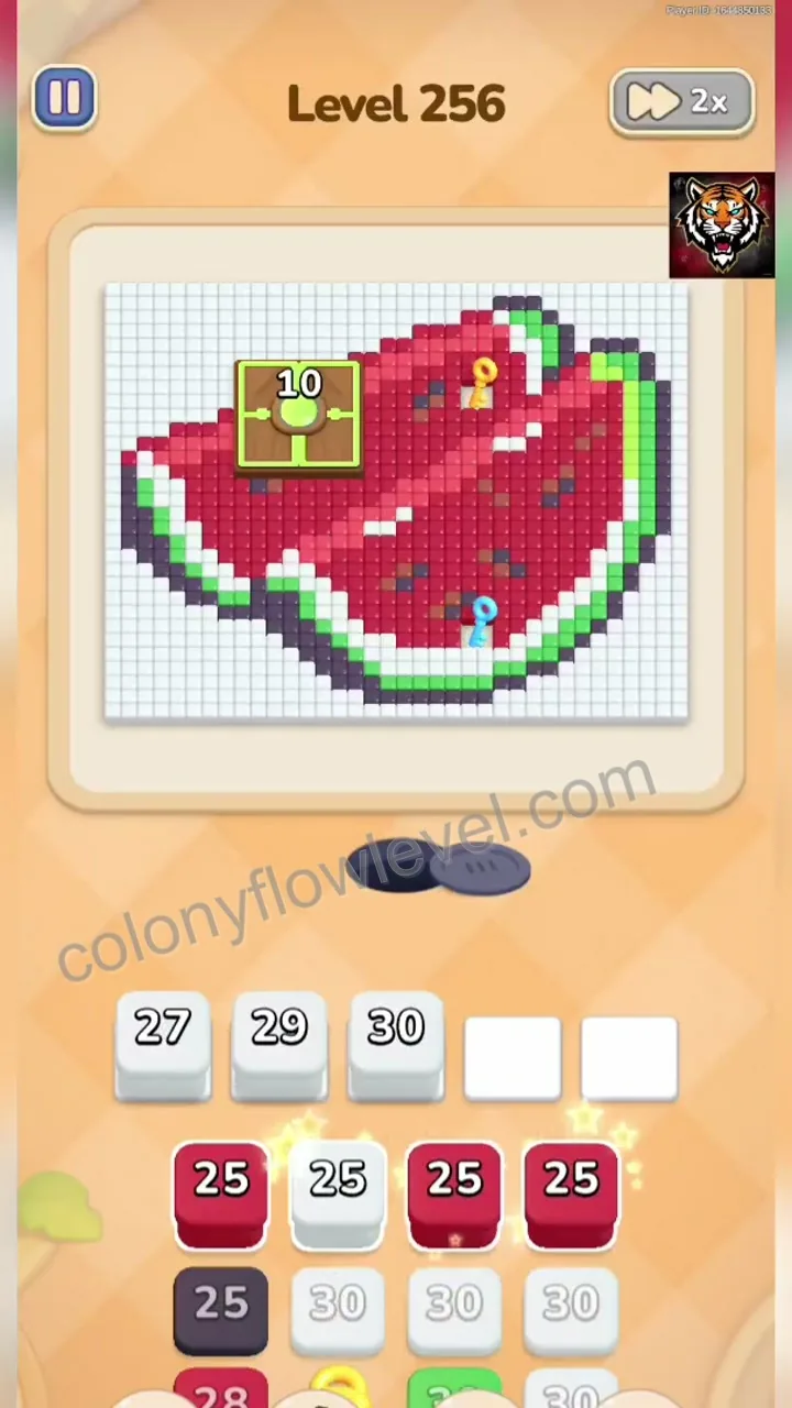Colony Flow Level 256