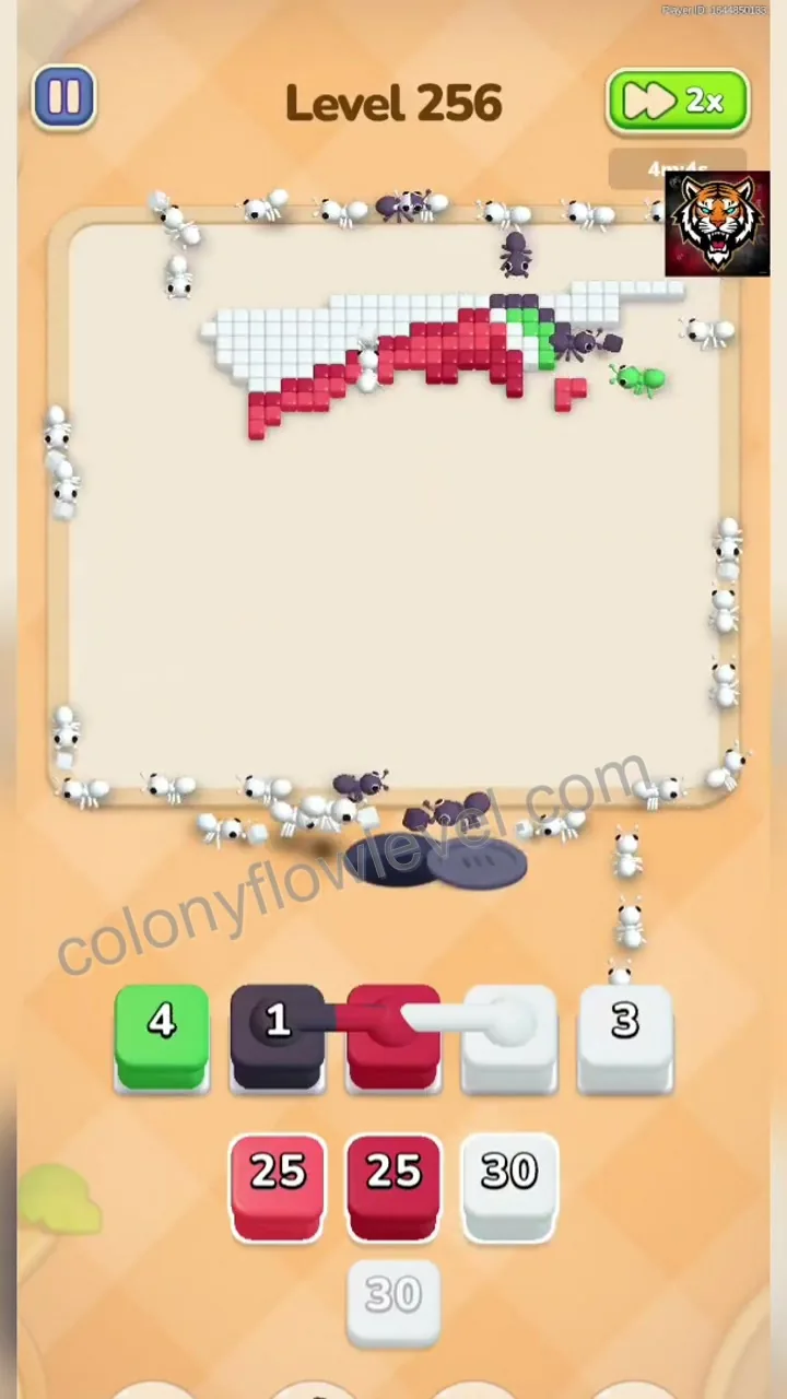 Colony Flow Level 256 step 4
