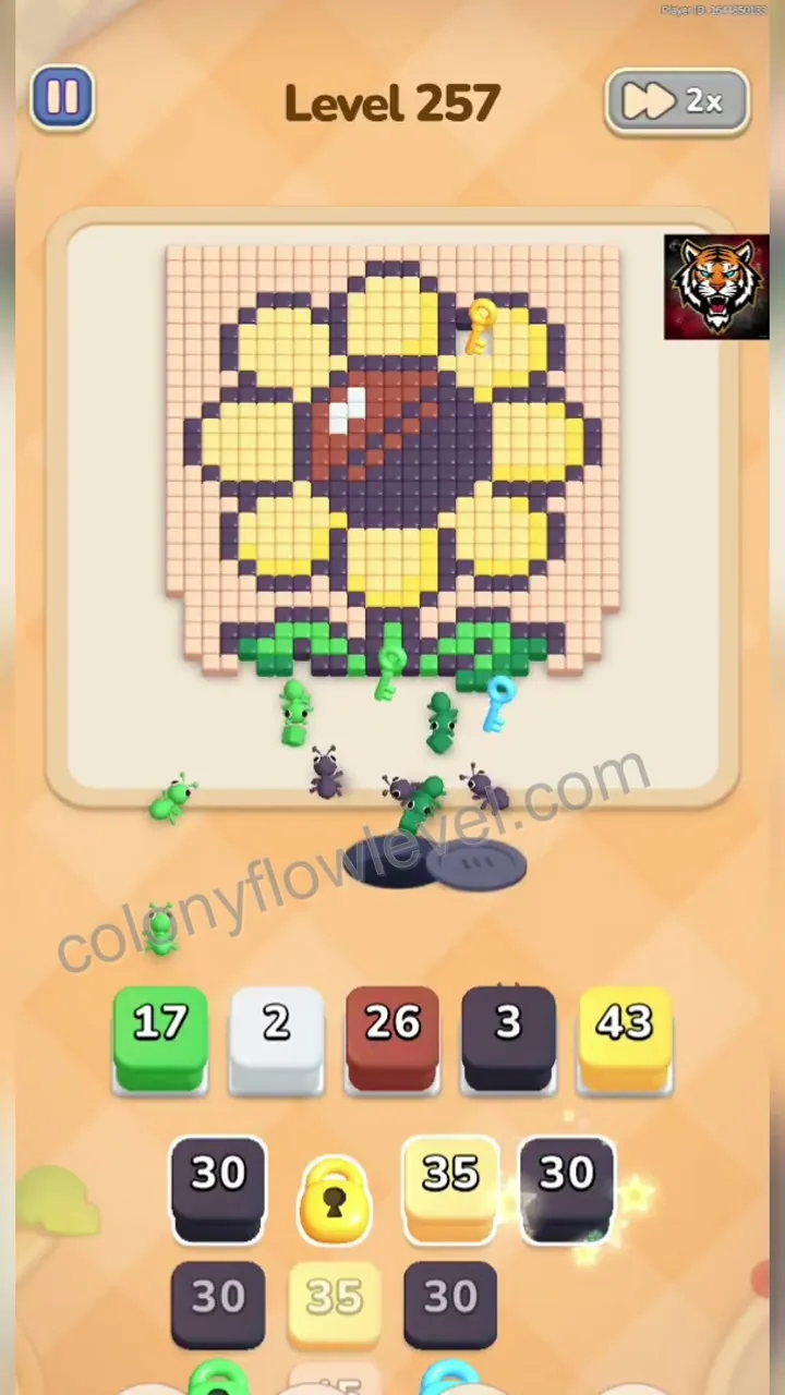 Colony Flow Level 257 step 4