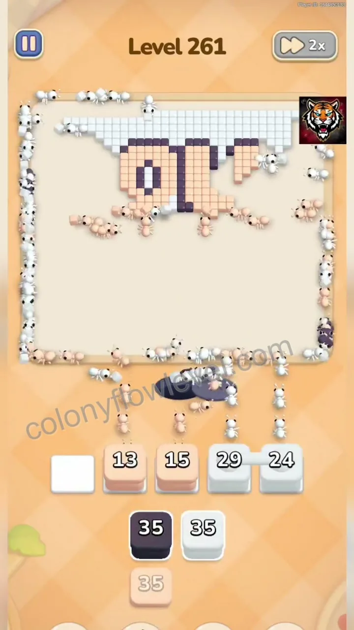 Colony Flow Level 261 step 4