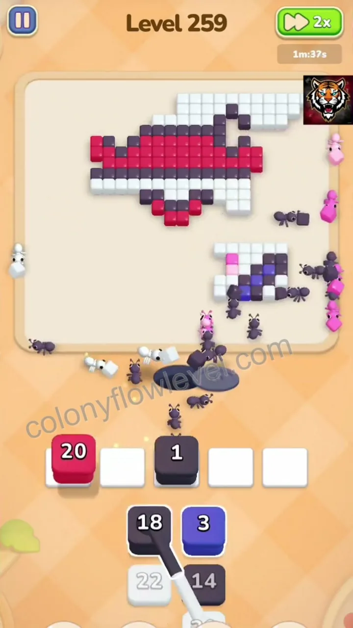 Colony Flow Level 259 step 4