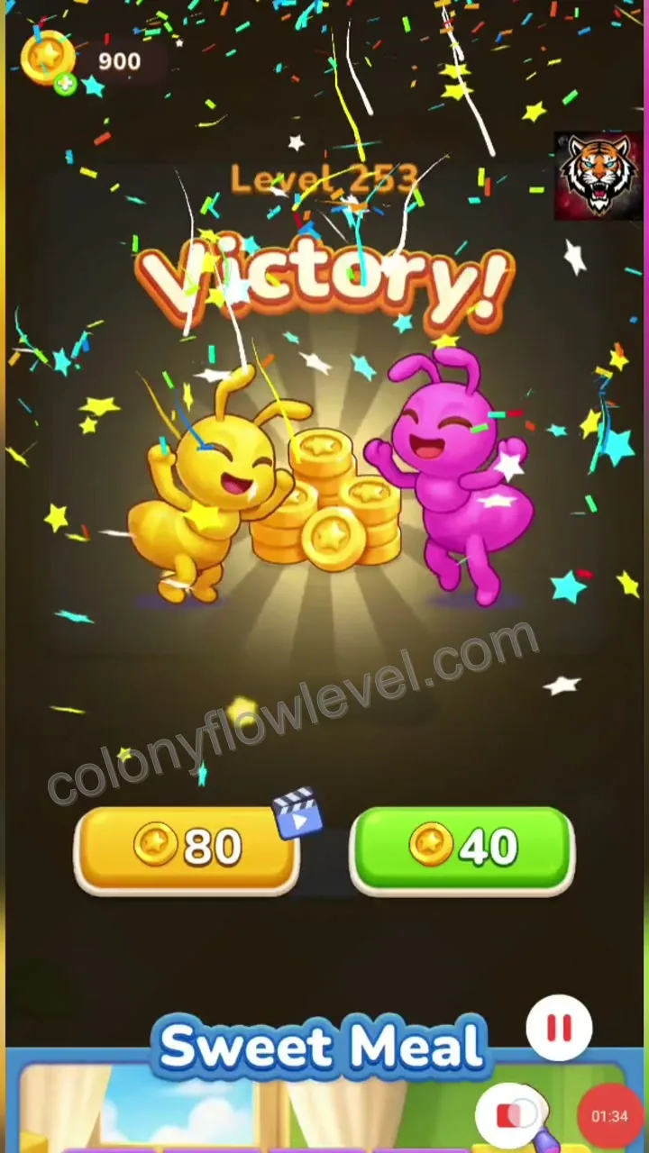 Colony Flow Level 253 step 4