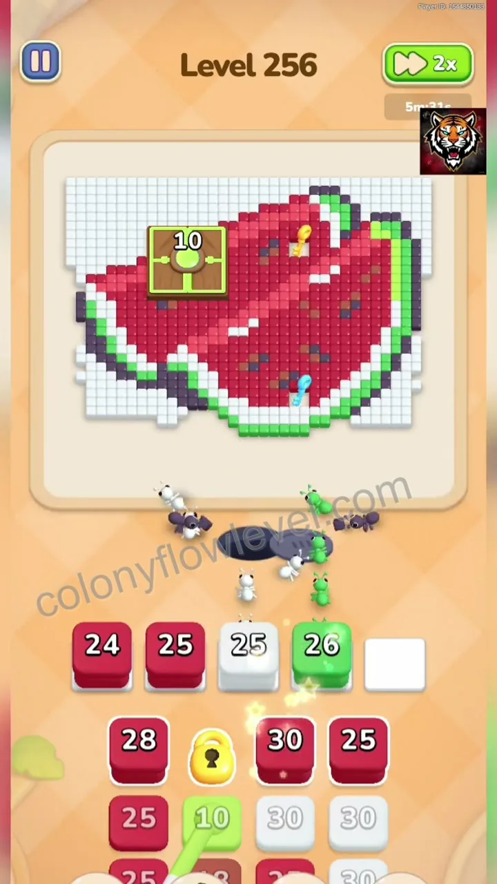 Colony Flow Level 256 step 3