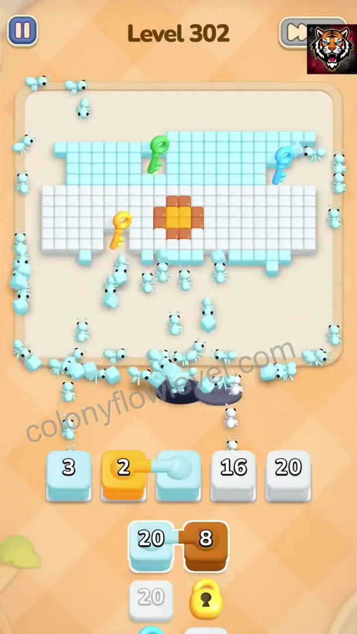 Colony Flow Level 302 step 4