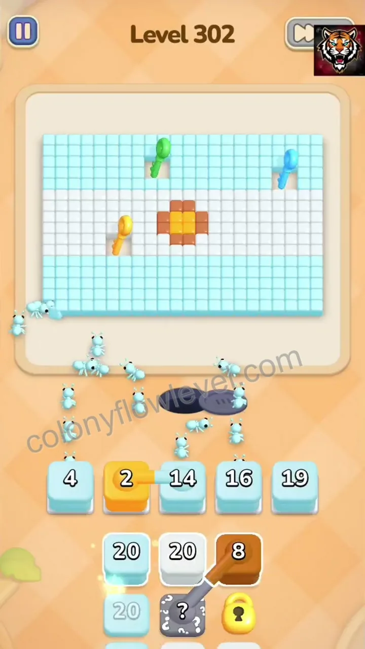 Colony Flow Level 302 step 2