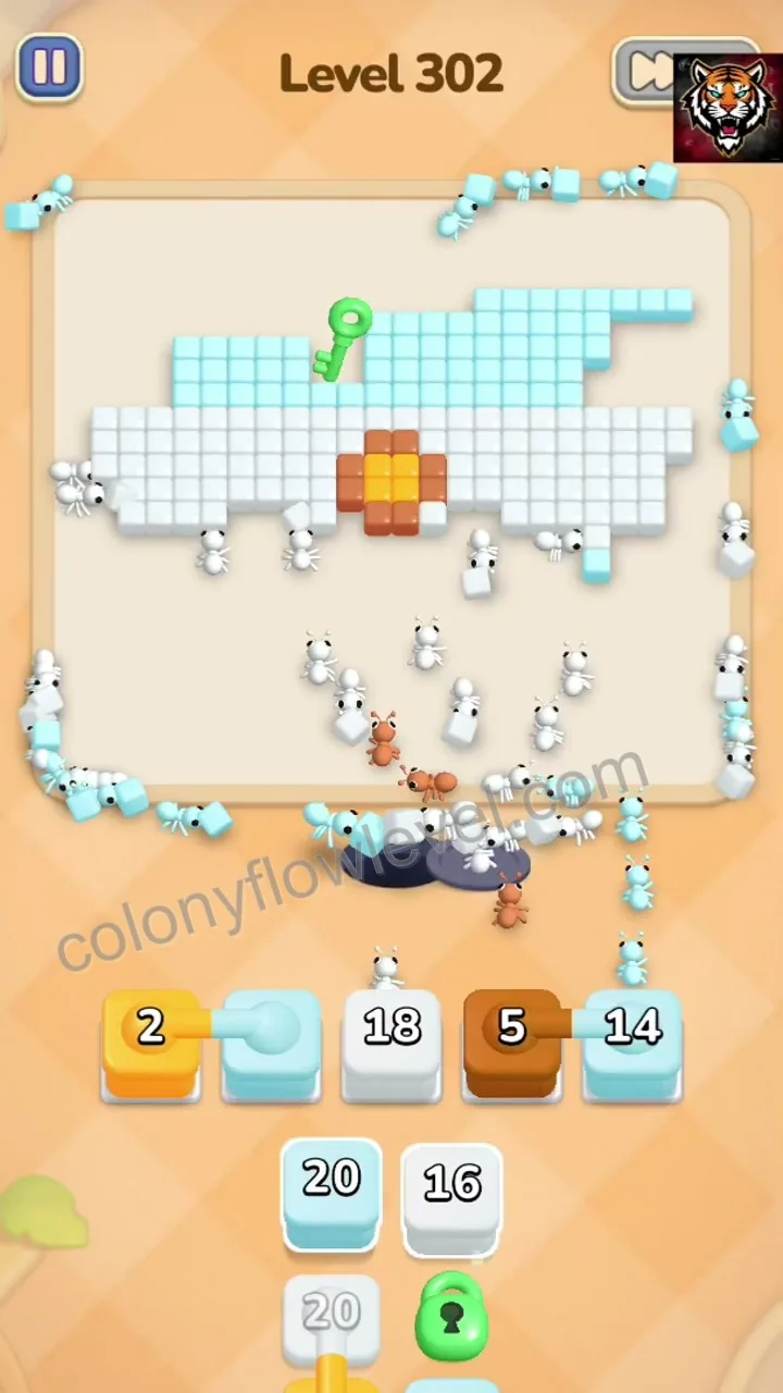 Colony Flow Level 302 step 5
